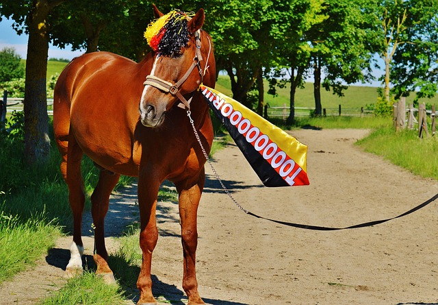 中率仅有 中率仅有