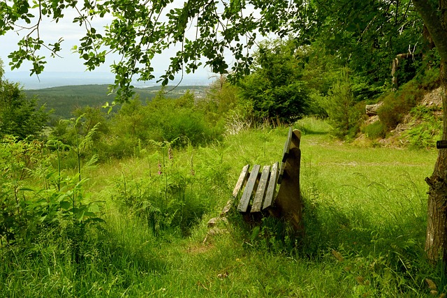 从身心发展 从身心发展
