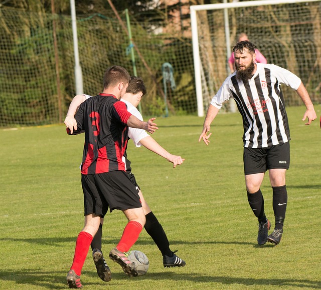 的防守能力 的防守能力