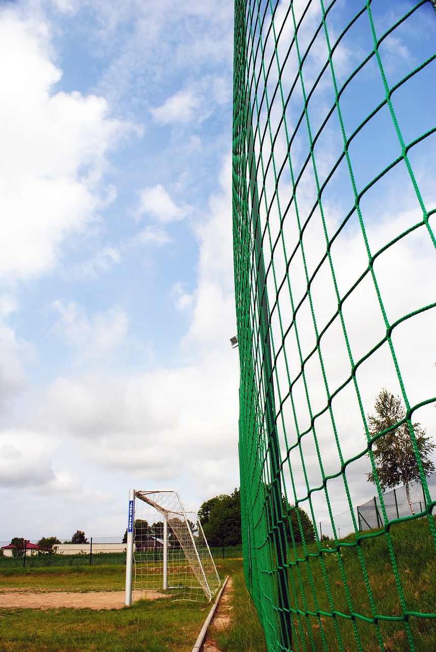 尖选手的加 尖选手的加