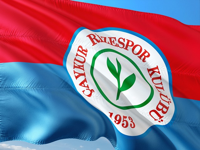 动的结果 动的结果